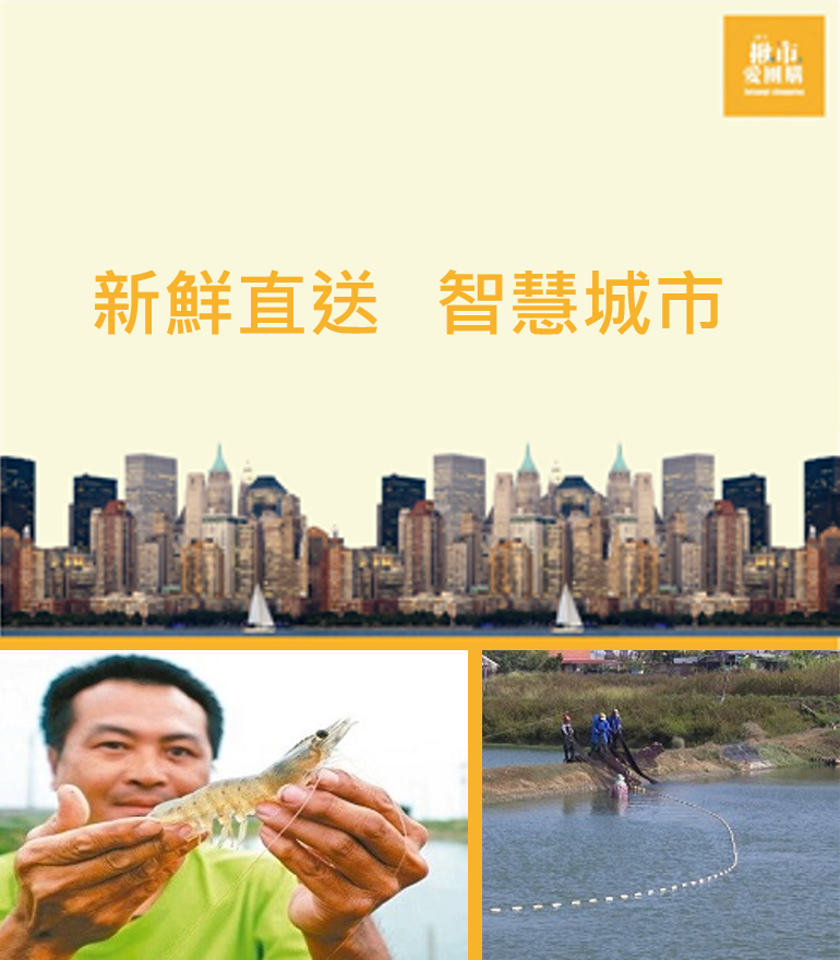 About Jotangi